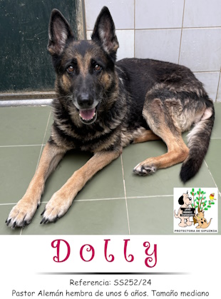 DOLLY