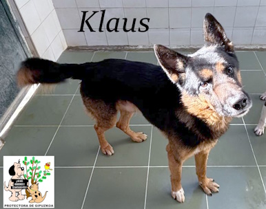 KLAUS