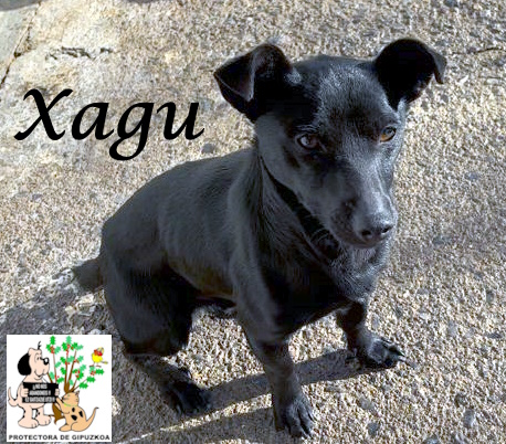 XAGU