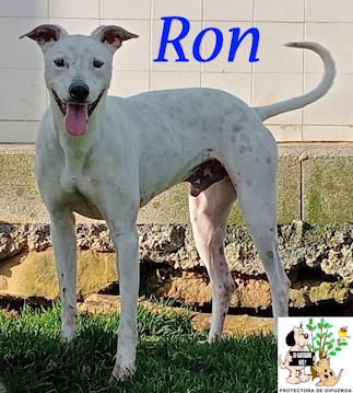 (Español) RON