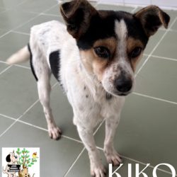 KIKO