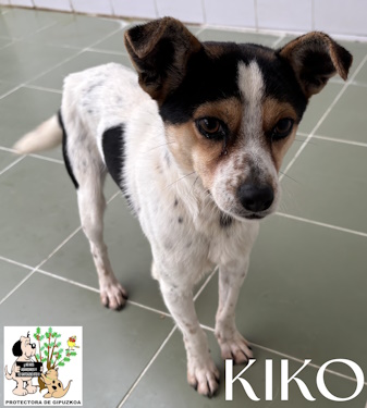 (Español) KIKO